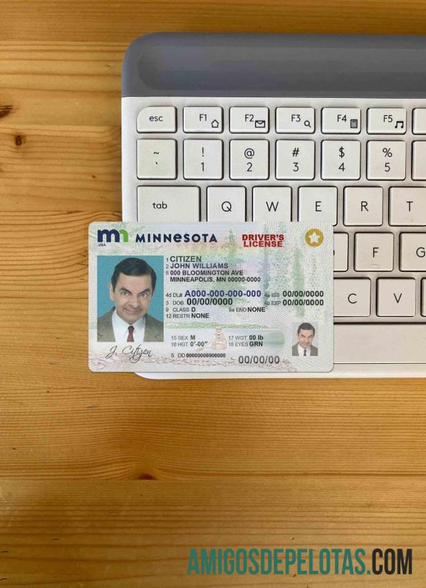 EUA Minnesota DL fotovisual frontal baixar para verificação